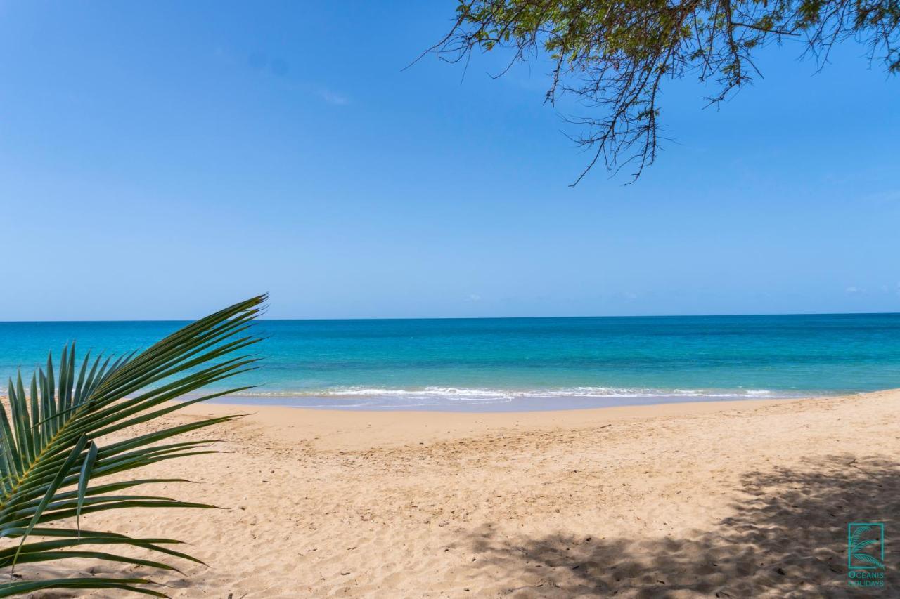 Ferienwohnung Magnifique Et Spacieux T2 Proche De La Plage - La Kiss House Deshaies Exterior foto